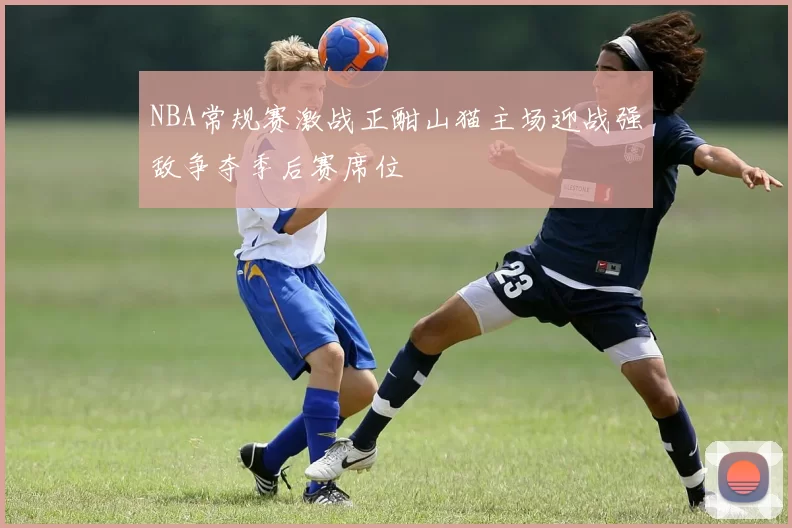 NBA常规赛激战正酣山猫主场迎战强敌争夺季后赛席位