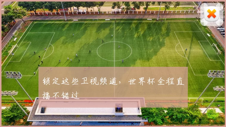 锁定这些卫视频道,世界杯全程直播不错过