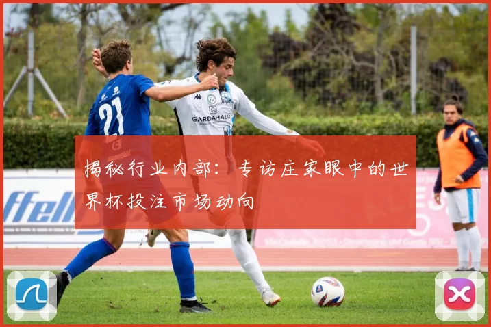 揭秘行业内部：专访庄家眼中的世界杯投注市场动向