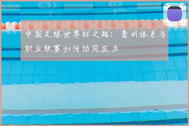 中国足球世界杯之路：青训体系与职业联赛如何协同发力