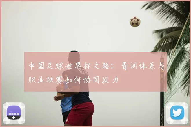 中国足球世界杯之路：青训体系与职业联赛如何协同发力