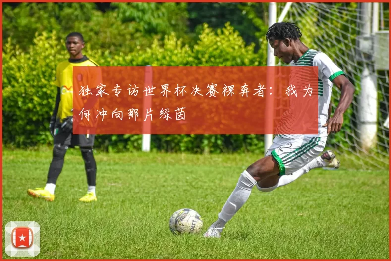 独家专访世界杯决赛裸奔者:我为何冲向那片绿茵