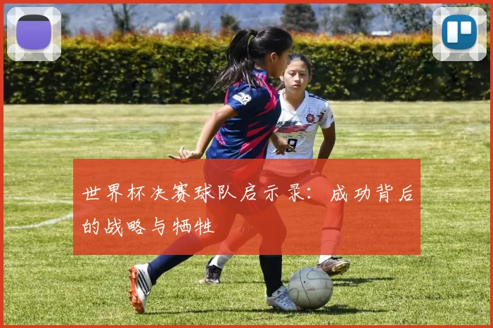 世界杯决赛球队启示录：成功背后的战略与牺牲